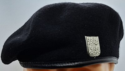 Vojenská policie - żandarmeria wojskowa