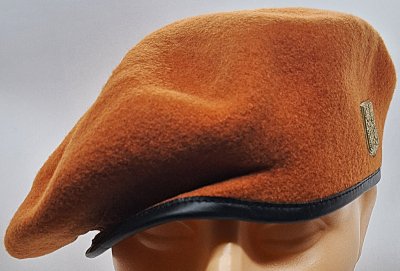 Záchranné prapory - jednostki ratownicze