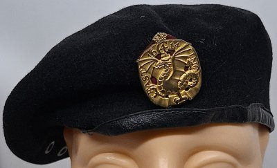 Fynske Livregiment