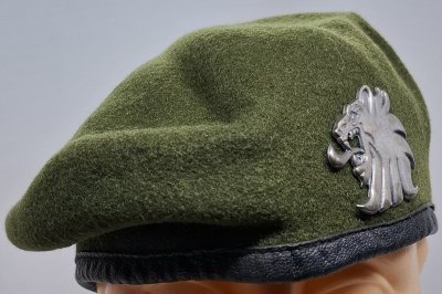 Suomen Kansainvälinen Valmiusjoukko