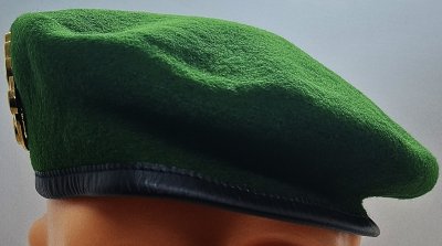 13e demi-brigade de Légion étrangère - 13e DBLE