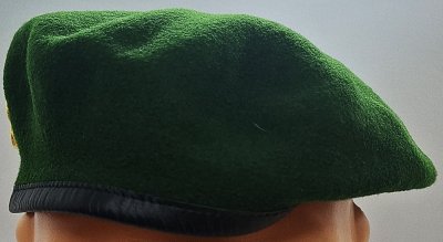 1er régiment étranger de génie - 1er REG