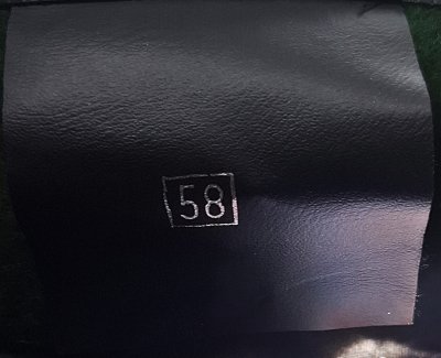 1er régiment étranger de génie - 1er REG