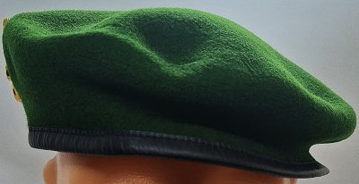 3e régiment étranger d’infanterie - 3REI