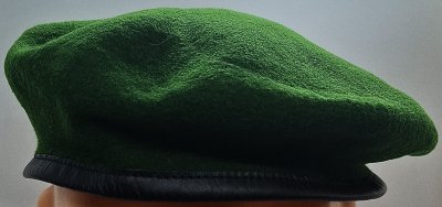  5e régiment étranger - 5e RE