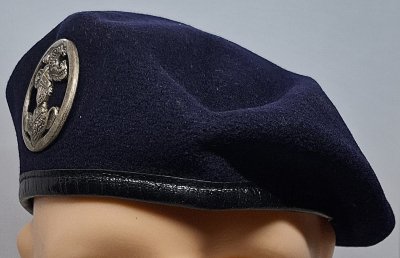 Arme blindée et cavalerie
