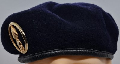 Corps technique et administratif