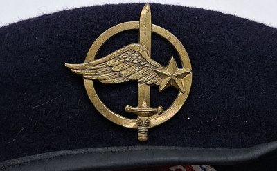 Fusiliers Commandos de l'Air (FCA)