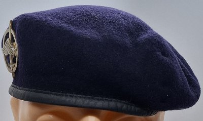 Fusiliers Commandos de l'Air (FCA)