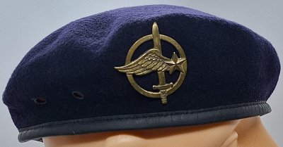 Fusiliers Commandos de l'Air (FCA)