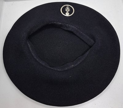Les pelotons de gendarmerie de haute montagne