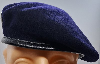 Matériel de l'Armée de Terre