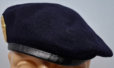 Service de santé des armées