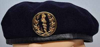 Service de santé des armées