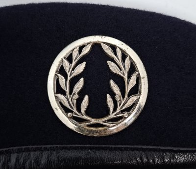 Vétérinaire des armées