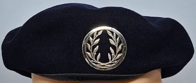 Vétérinaire des armées
