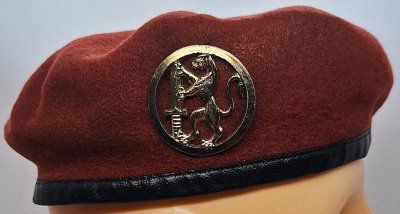 1er Régiment Parachutiste Gabonais 