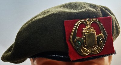 Infanterieregiment - Algemeen