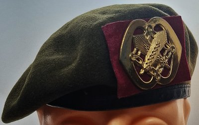 Intendancetroepen
