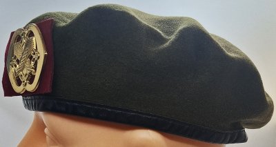 Intendancetroepen