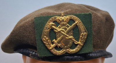 Regiment Geneeskundige Troepen