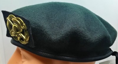 Regiment Genietroepen