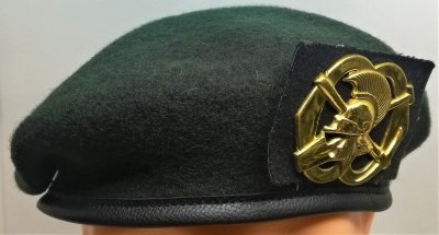 Regiment Genietroepen