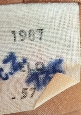 Regiment Infanterie Johan Willem Friso