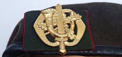 Regiment Limburgse Jagers