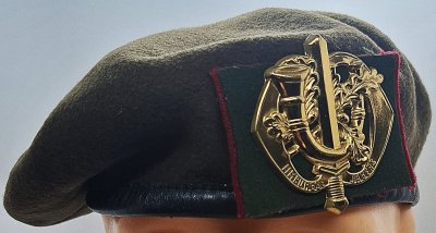 Regiment Limburgse Jagers