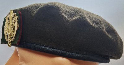 Regiment Limburgse Jagers