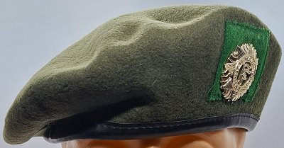 Irish Army Reserves FCA