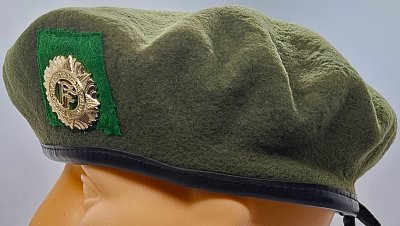 Irish Army Reserves FCA