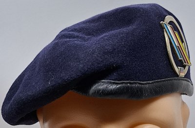 Deutsch-Französische Brigade