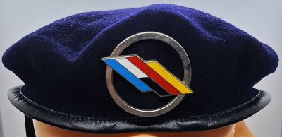 Brigade franco-allemande