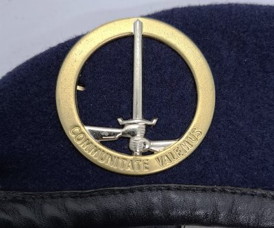 Eerste Duits-Nederlandse Legerkorps