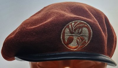 Multinational Force and Observers - MFO