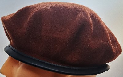 Multinational Force and Observers - MFO