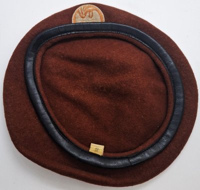 Multinational Force and Observers - MFO