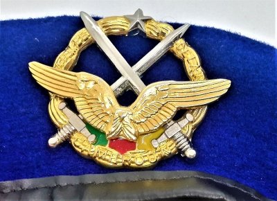 Armée de l'Air du Cameroun
