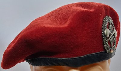 ABC-Abwehrtruppe