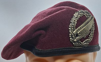 Fallschirmjägertruppe 