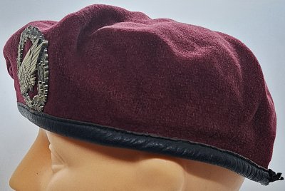 Fallschirmjägertruppe 