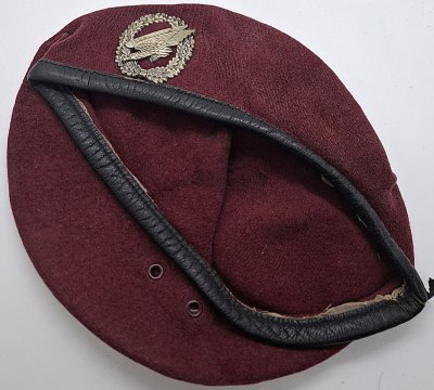 Fallschirmjägertruppe 