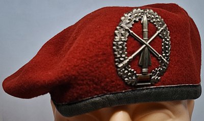Heeresflugabwehrtruppe barett