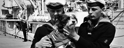 Marine Tellermütze Bundesmarine