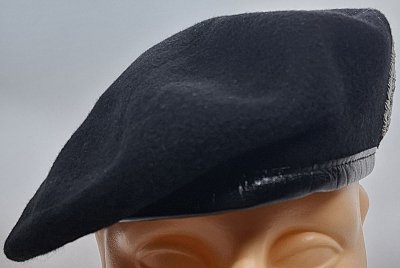 Panzeraufklärungstruppe 