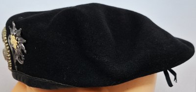 Panzerbrigade 12