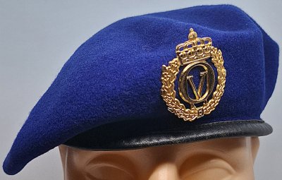 Brigaden i Nord-Norge