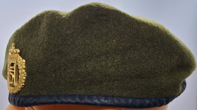 Hæren